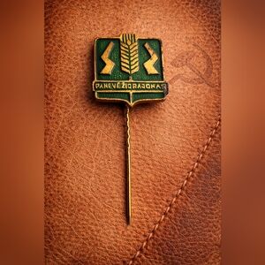 Panavezio Rajones Panevezys District Lithuania Vintage Soviet Era Stick Pin USSR